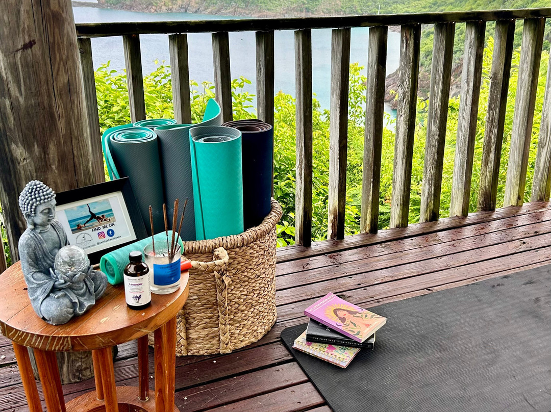 Carol Schoonhoven “Pura Vida Yoga BVI”-Road Town必去景点