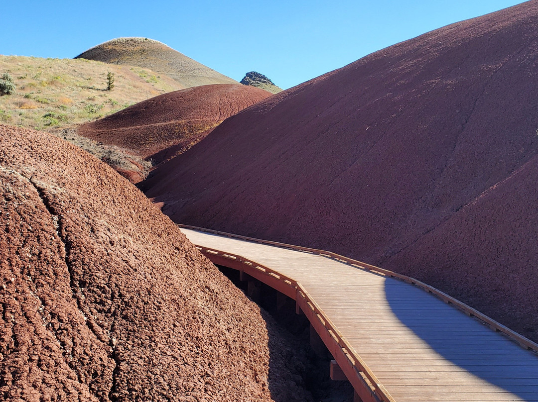 John Day Fossil Beds National Monument, Painted Hills Unit景点图片