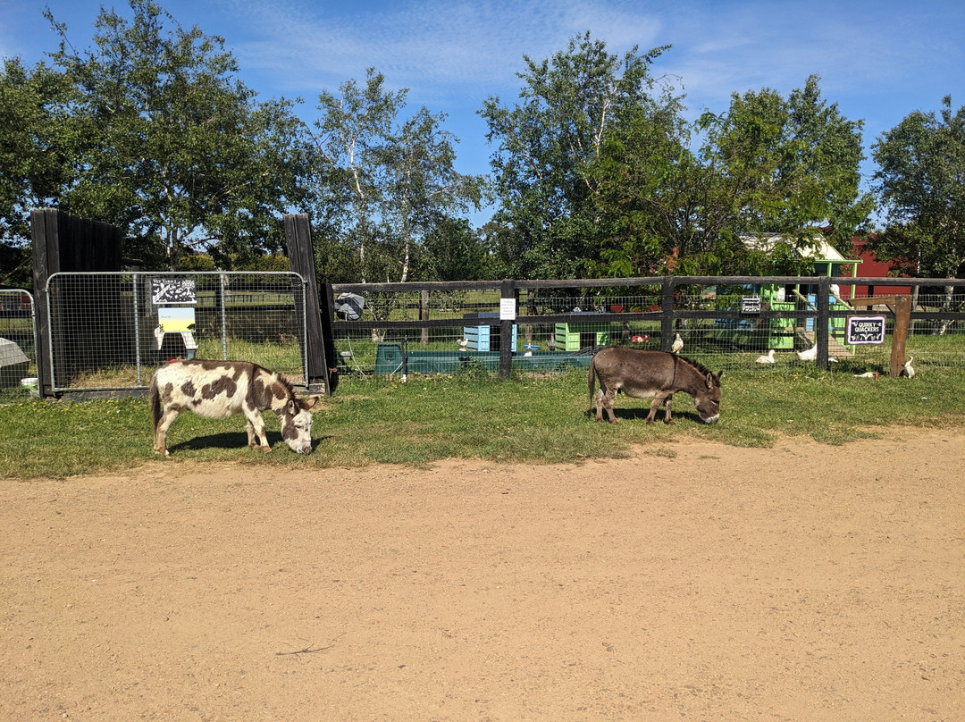 Edgar's Mission-Lancefield必去景点