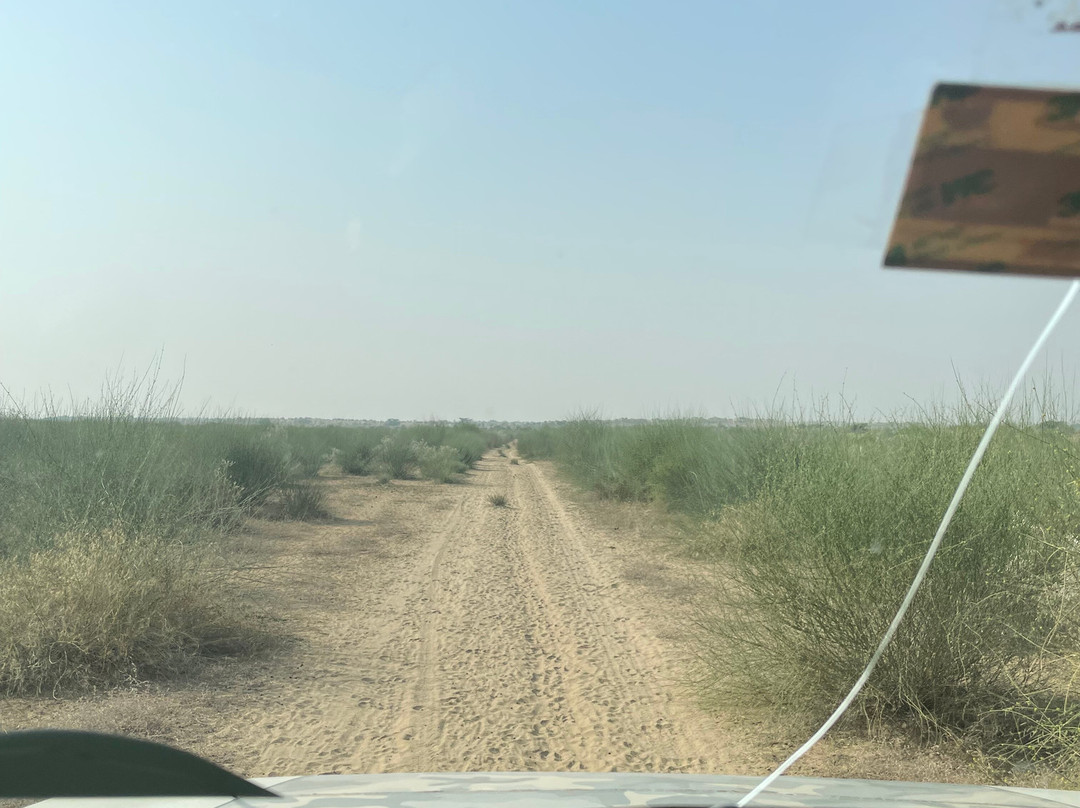 Jorbeer Conservation Reserve-碧卡内必去景点