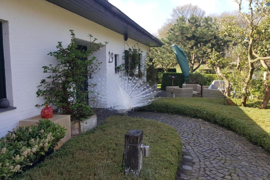 Ferienwohnung Kolb
