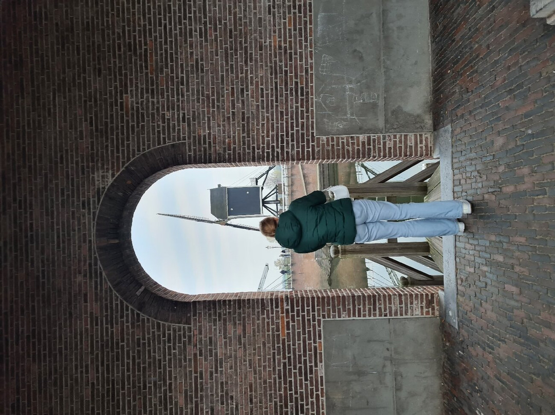 Stadshaven Heusden-Heusden必去景点