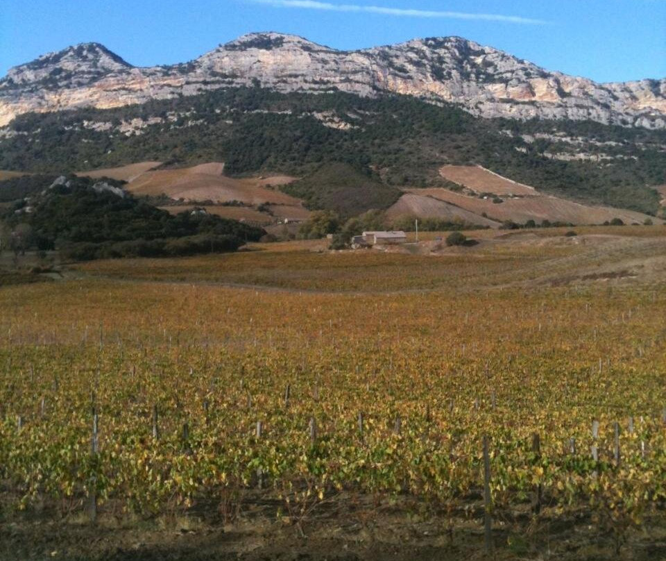 Agréable Location au Coeur du Vignoble Dominici Therese