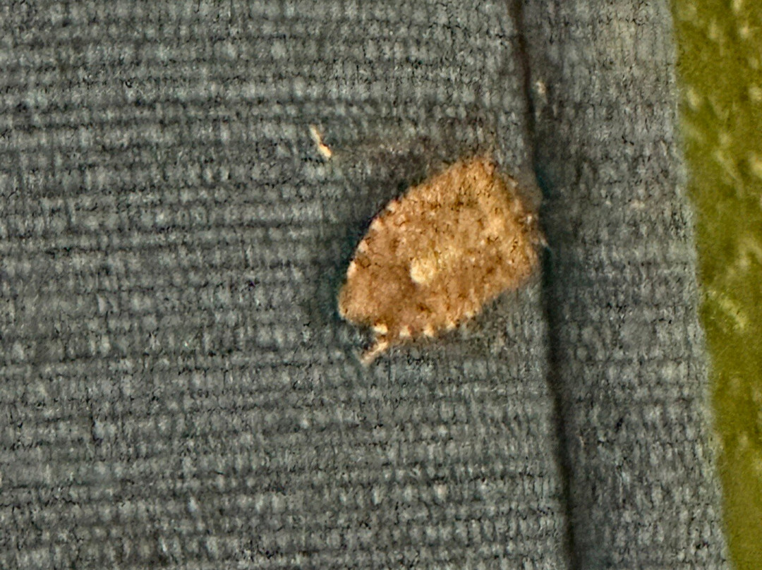 Quality Inn & Suites主图