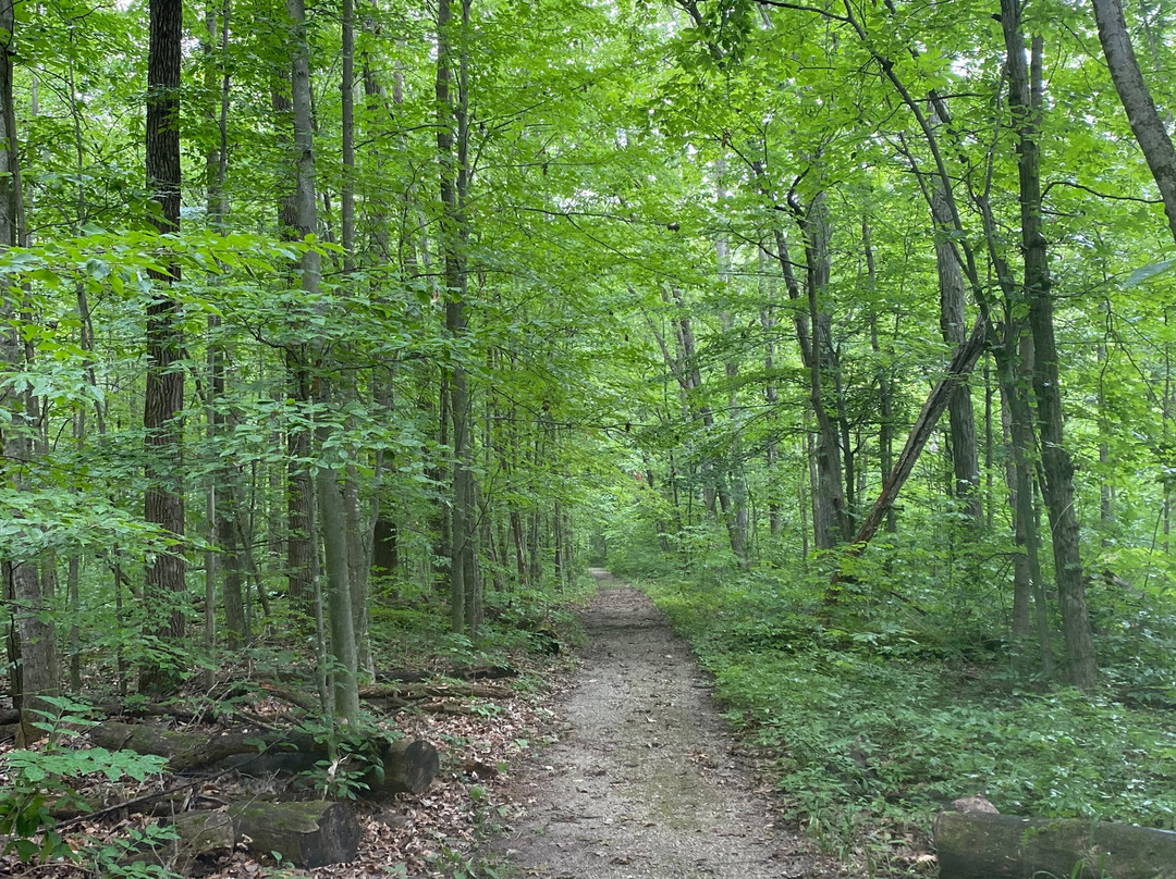 Goll Woods State Nature Preserve-Archbold必去景点