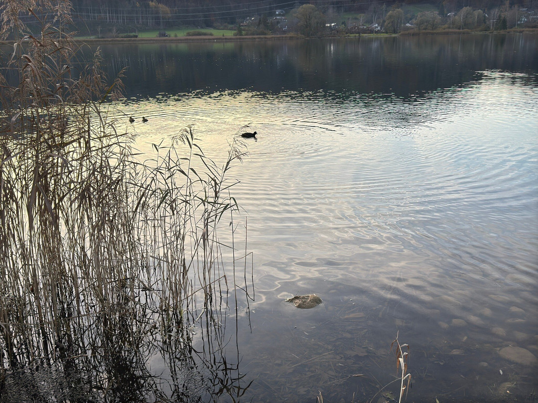 Gasthof Klosterbraeu主图