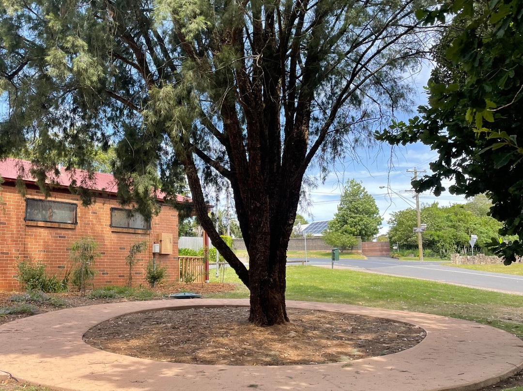 Charing Cross Reserve-Beaconsfield Upper必去景点