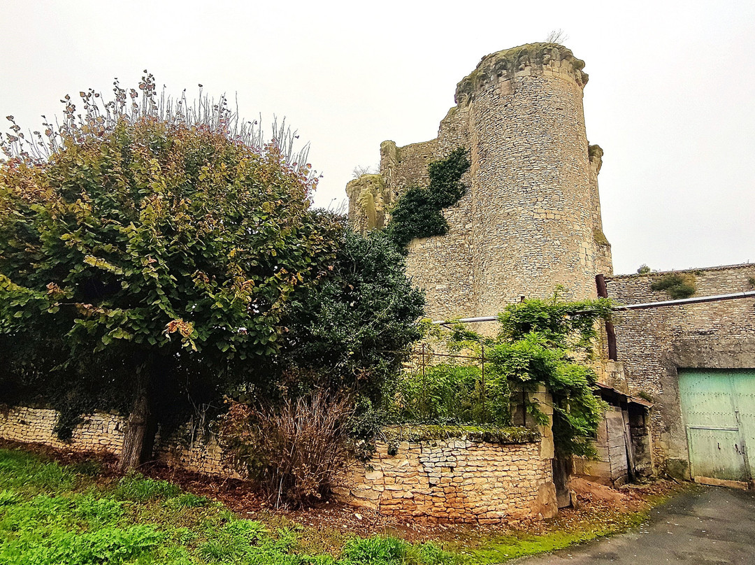 Château Du Bois Gourmond À Loudun景点图片