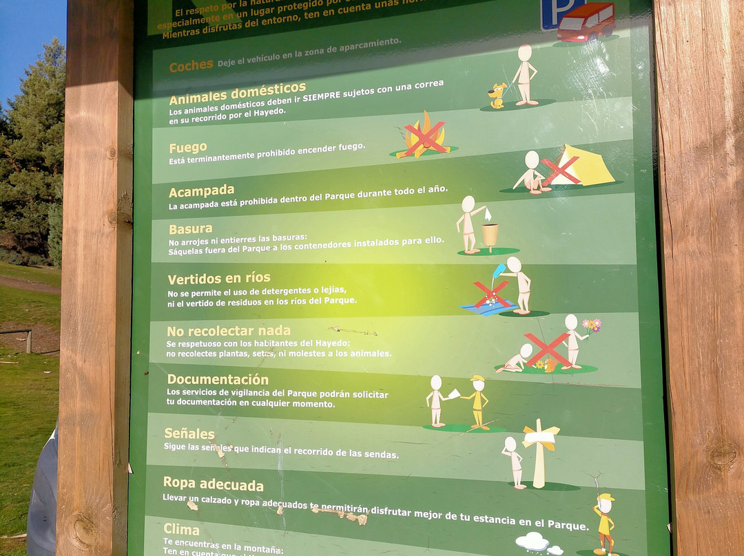 Parque Natural Hayedo de Tejera Negra景点图片