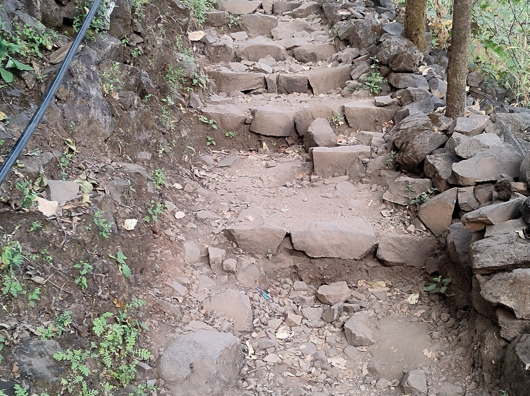 Tikona Fort景点图片
