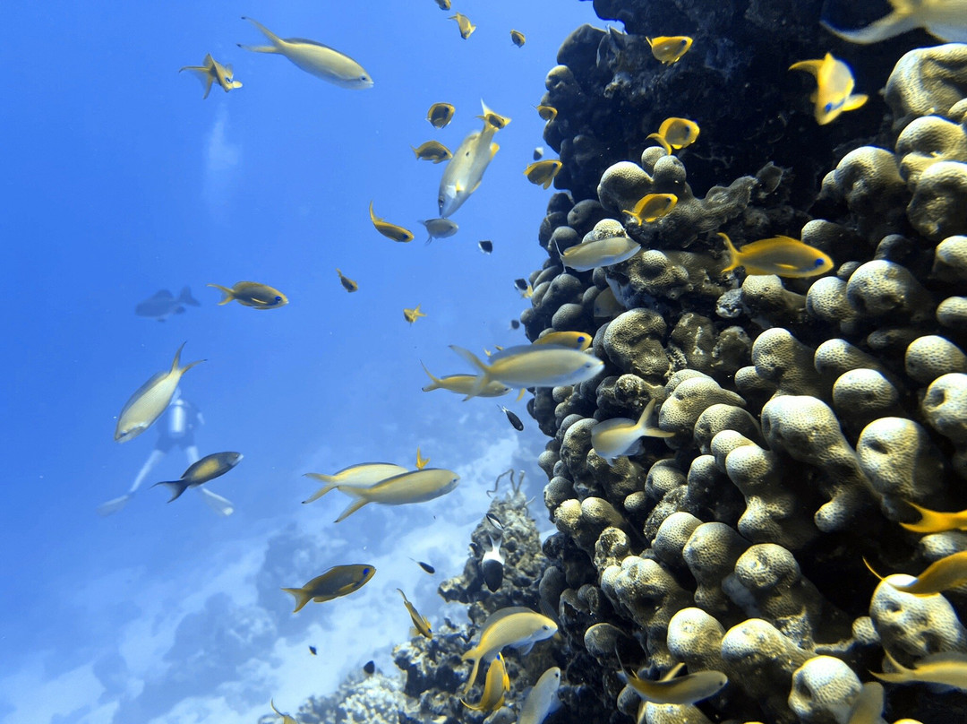 One Ocean-Matemwe必去景点