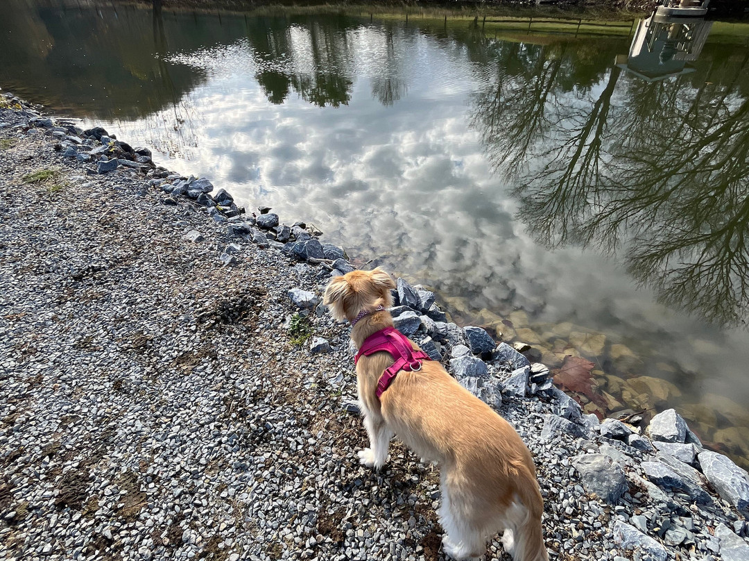 Steele Creek Park-布里斯托尔必去景点