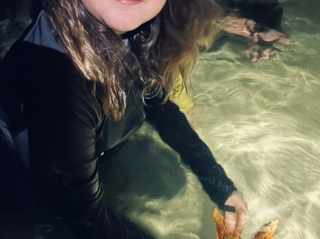 Sweet Spot Watersports-大开曼岛必去景点