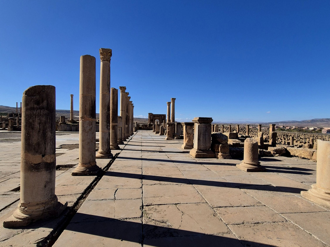 Roman Ruins Timgad景点图片