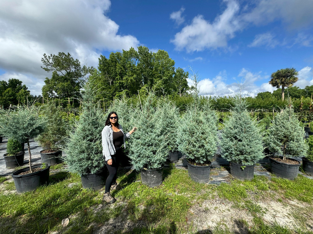 Flowing Well Tree Farm
