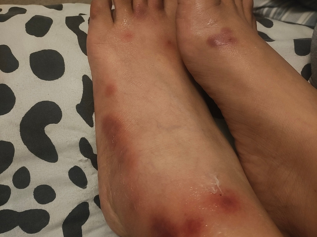 福特斯克瑞汽车旅馆加服务式公寓酒店主图