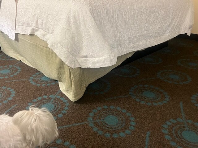 Hampton Inn & Suites Salt Lake City/Farmington-官方
