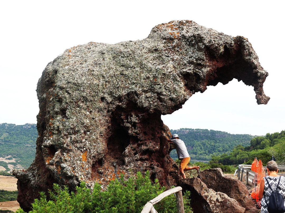 Roccia dell'Elefante-Castelsardo必去景点