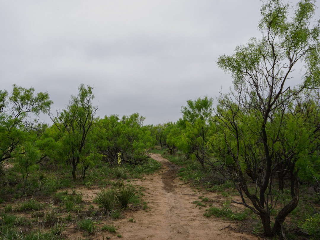 Wildcat Bluff Discovery Center-阿马里洛必去景点