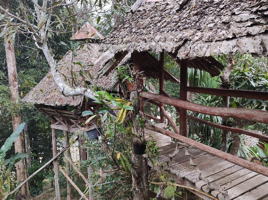 Cave Lodge主图