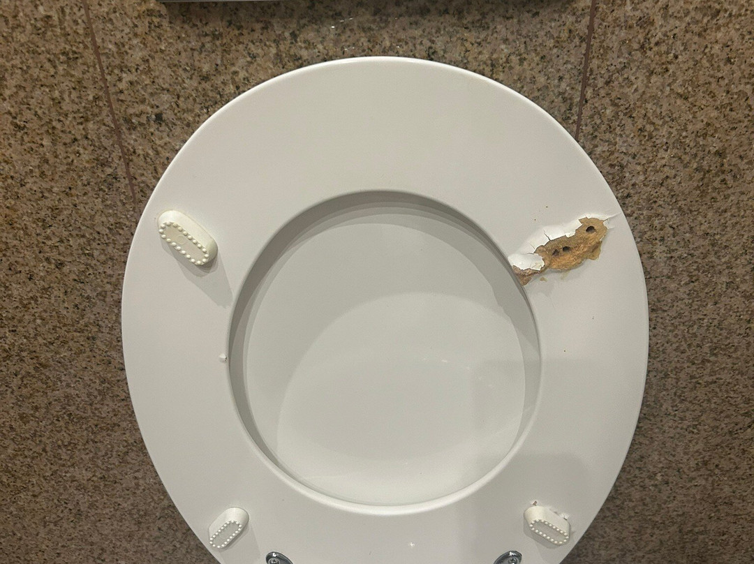 Aleksandar Novi Sad主图