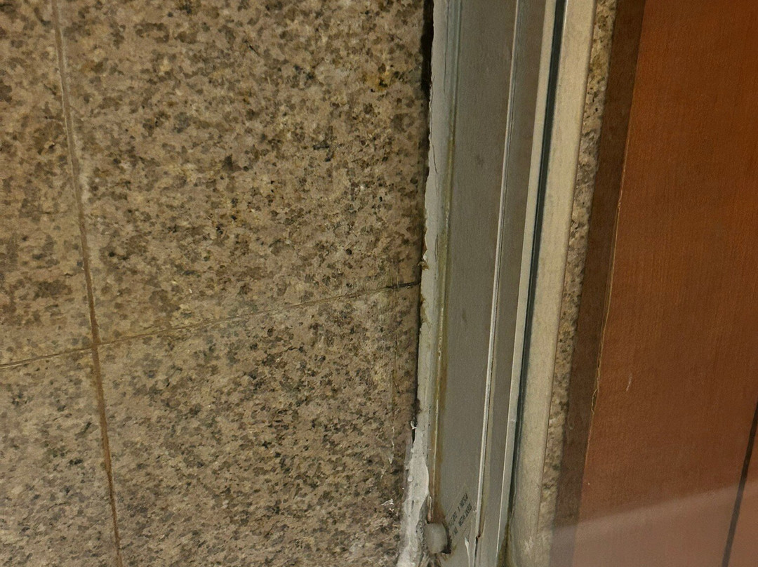 Aleksandar Novi Sad主图