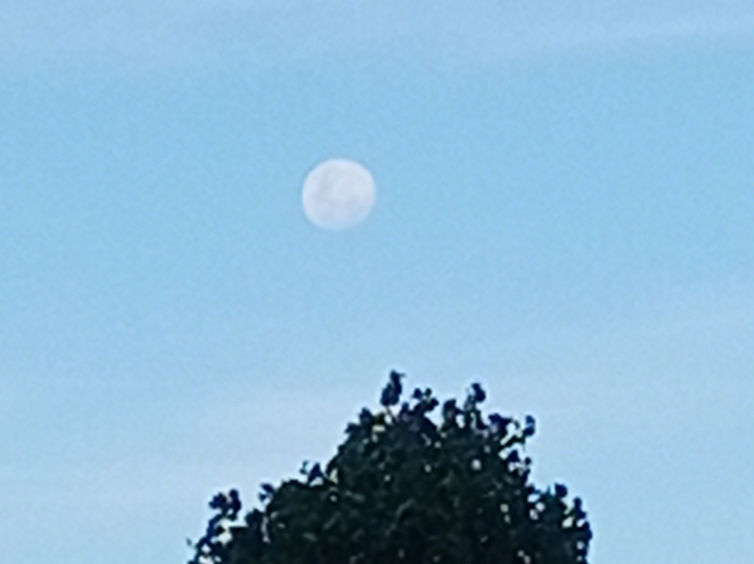 Lesoba Guest Farm主图