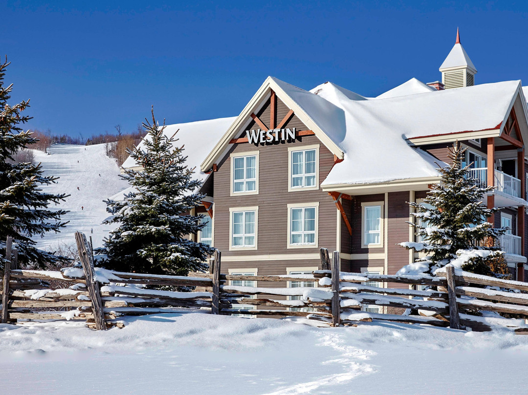 蓝山酒店住宿-蓝山延龄大厦威斯汀酒店