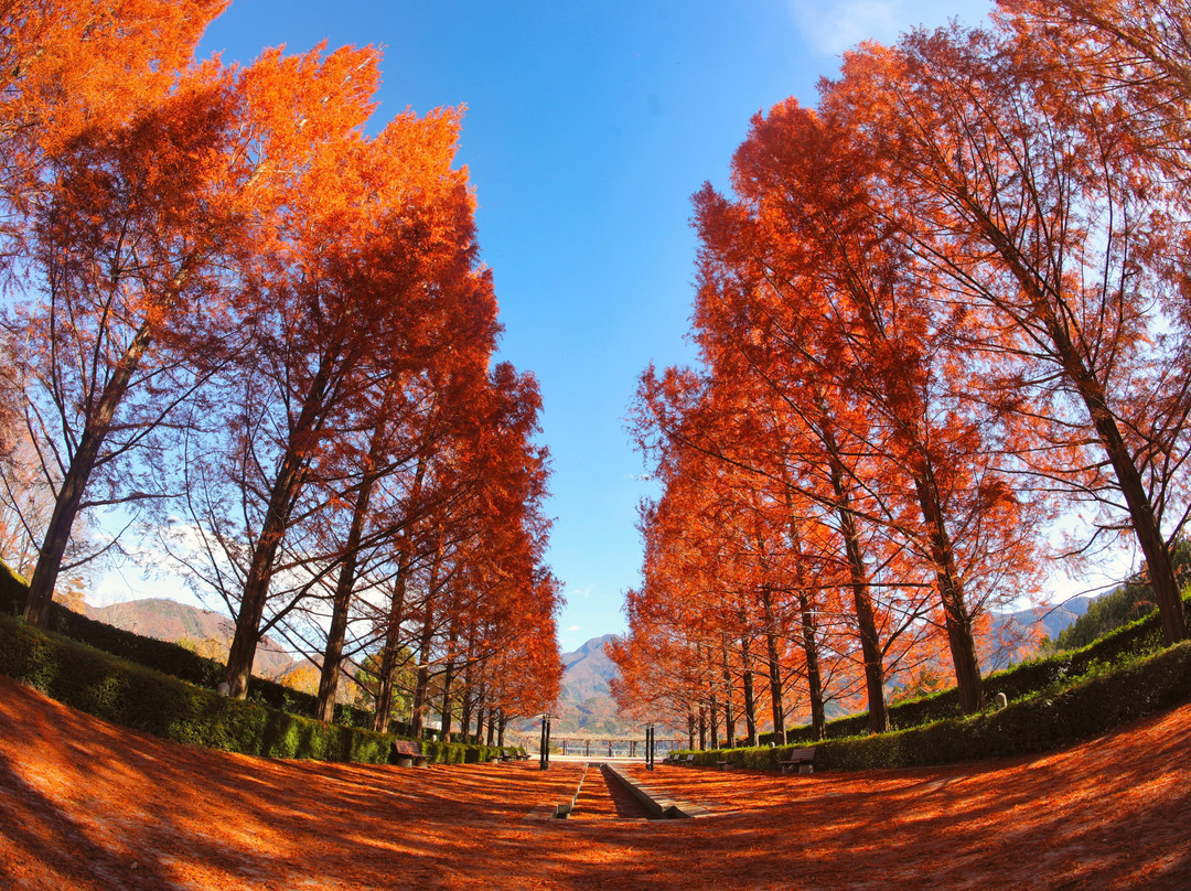 Fujikawa Craft Park景点图片