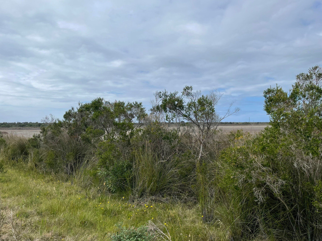 Lake Reeve Lookout-Golden Beach必去景点