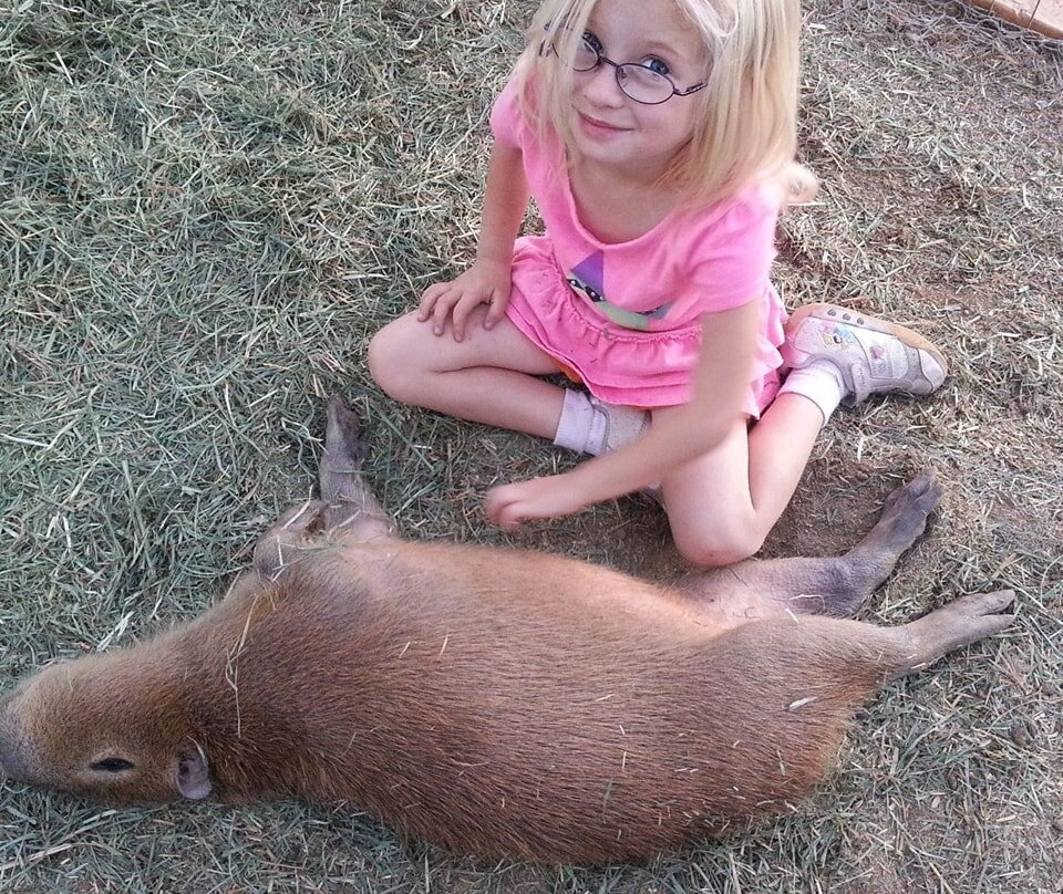 Ghost Ranch Exotics-马拉纳必去景点