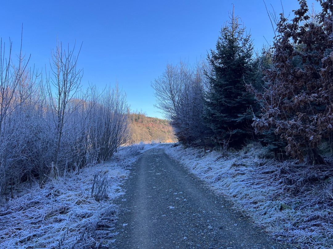 Dorint Parkhotel Siegen主图