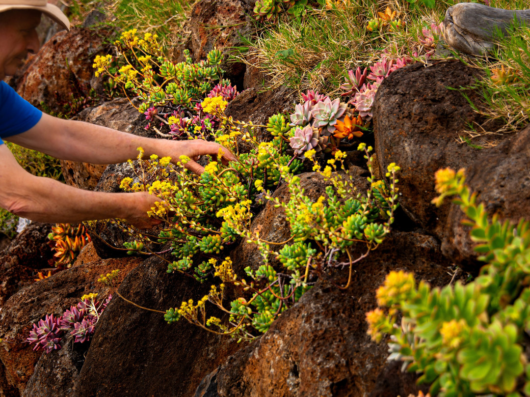 Kula Pueo Farm Tours-库拉必去景点