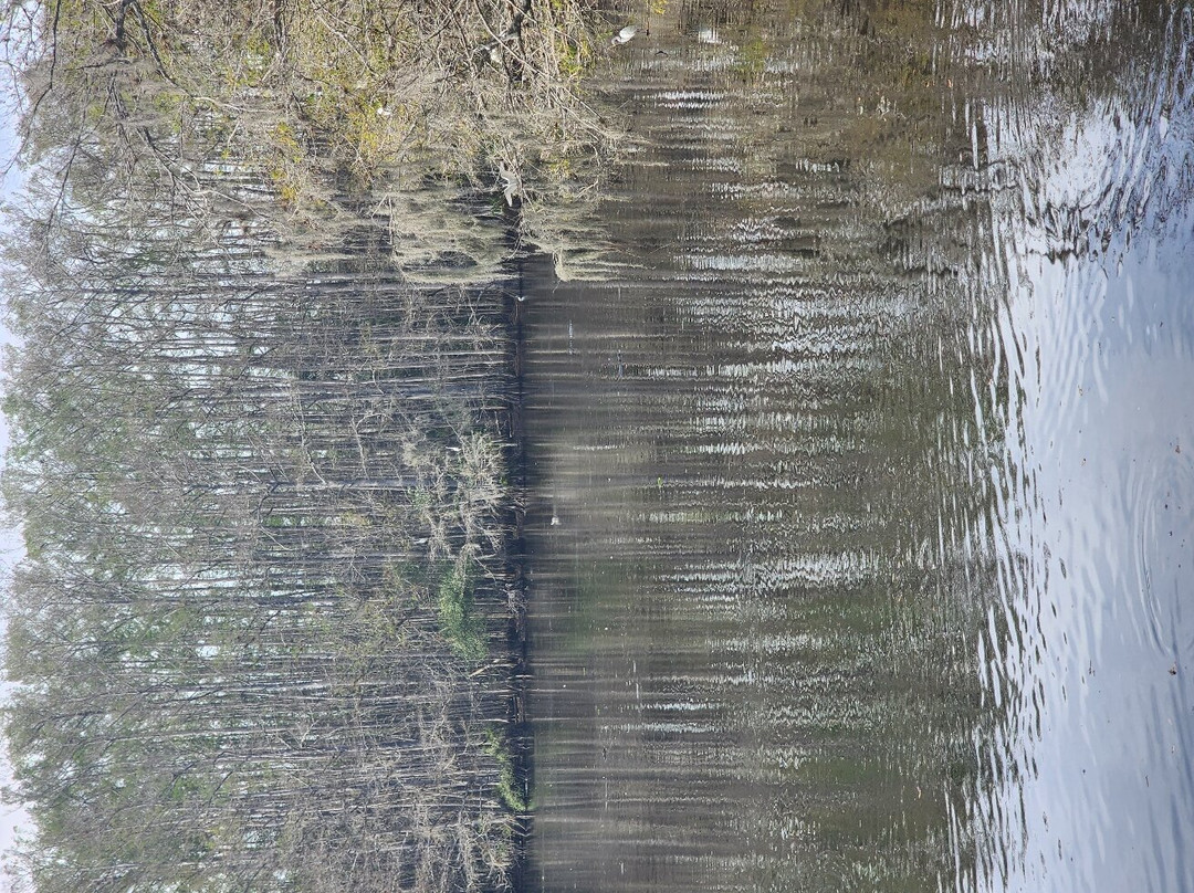 Babcock Ranch Preserve-蓬塔戈尔达必去景点