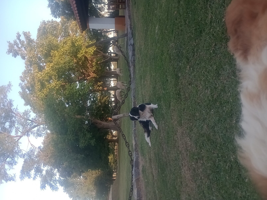 Las Dueñas de Areco Restaurant de campo