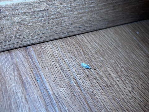 Hotel Kuenstleralm主图