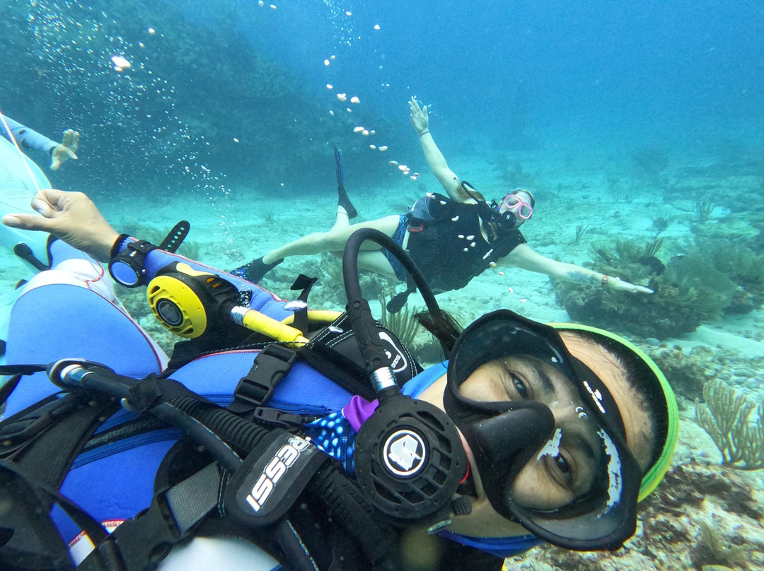 IMSEARENA-女人岛必去景点