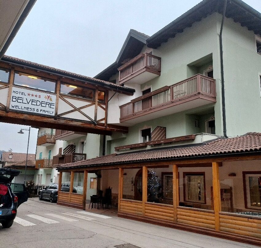 Family Hotel Belvedere主图