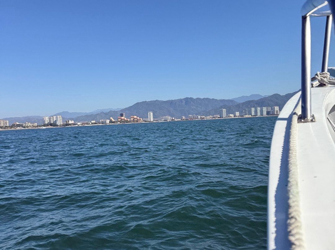 Twin Dolphins-瓦拉塔港必去景点