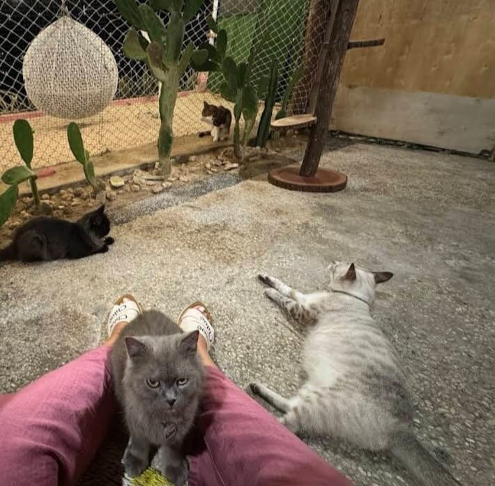 Cat Island Lembongan-蓝梦岛必去景点