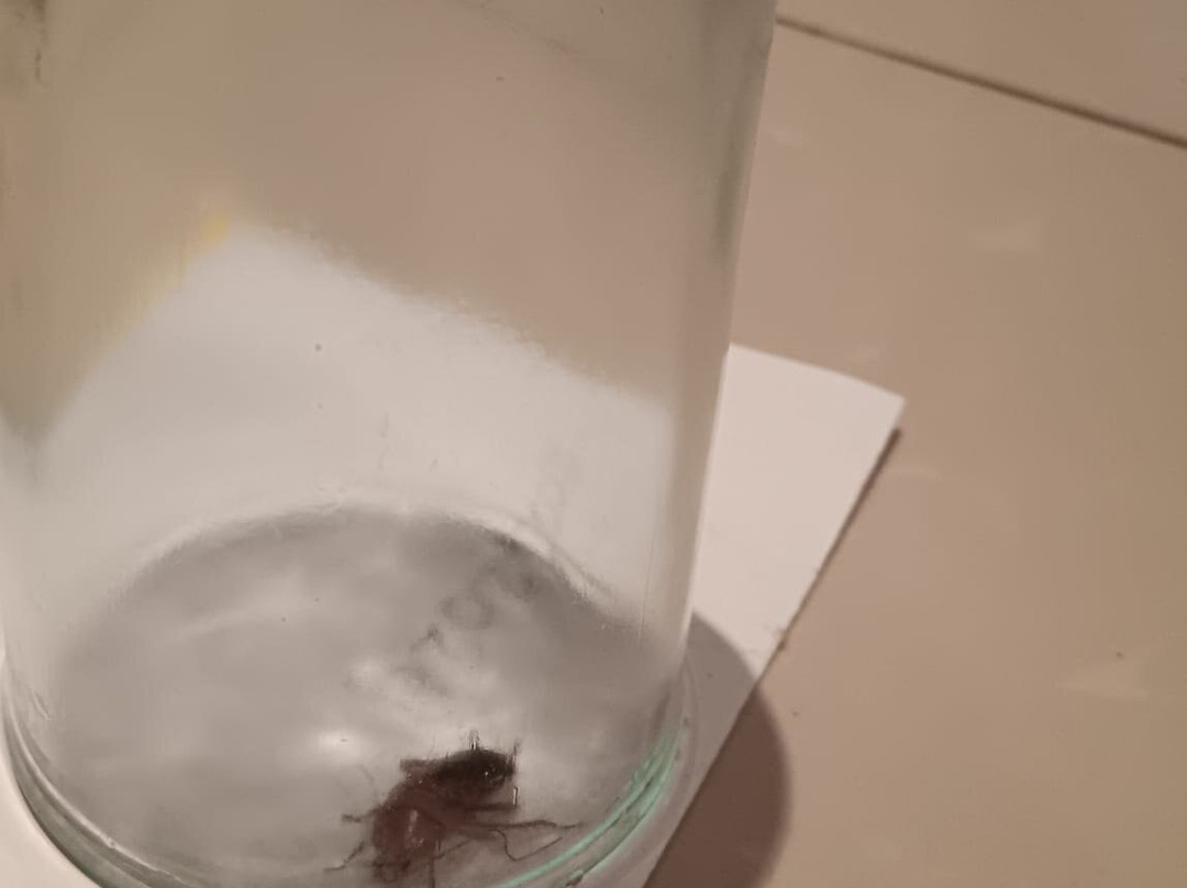 Hotel Lella Meriam主图