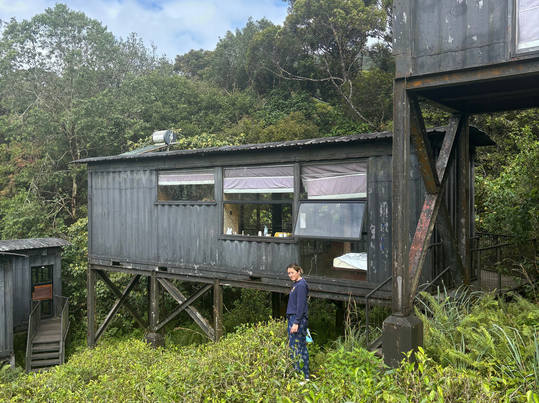 Rainforest Ecolodge主图