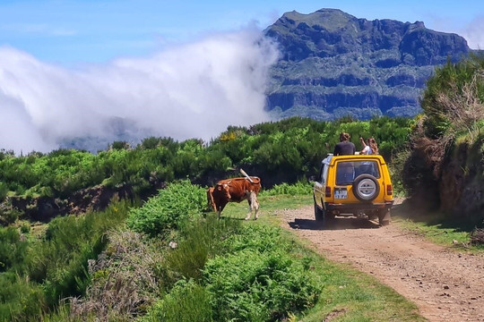 The Big Adventure Madeira-沙尔必去景点