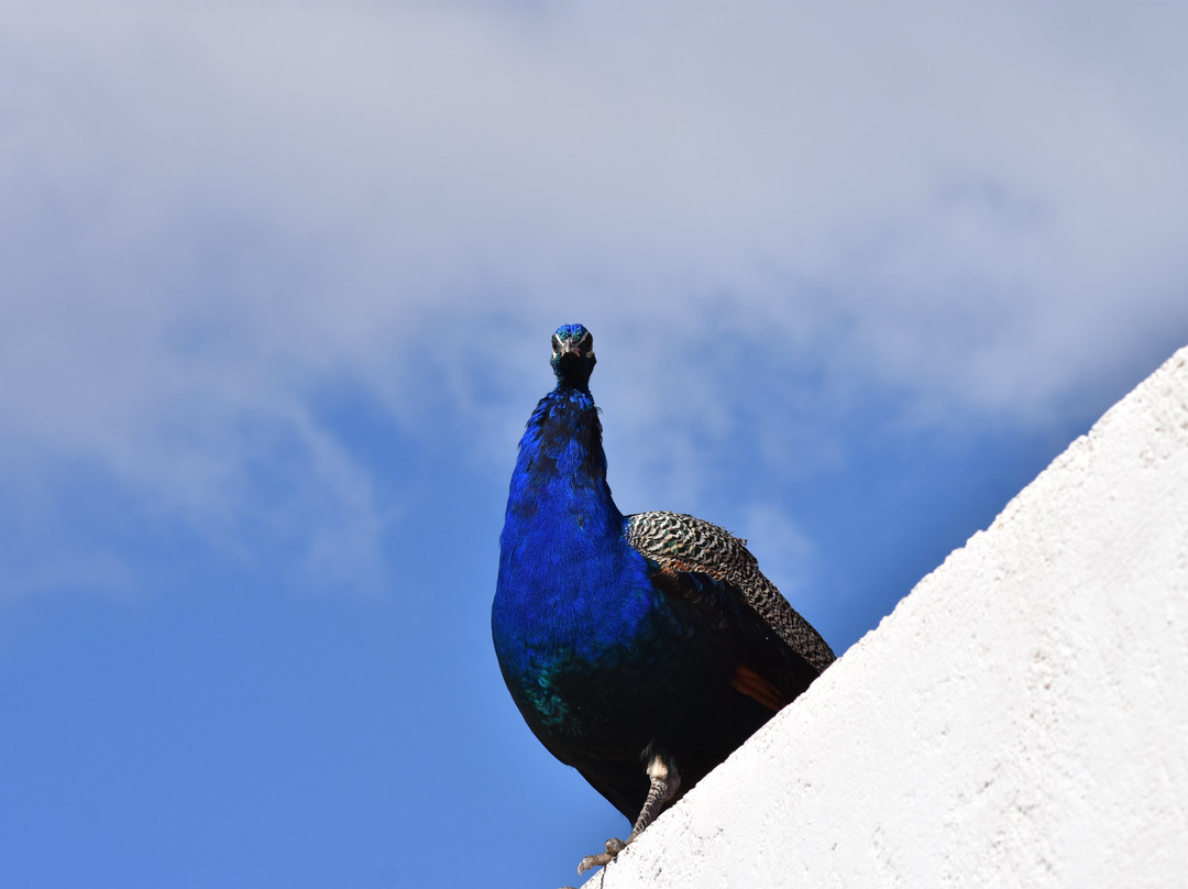 Gite Dayet Aoua主图