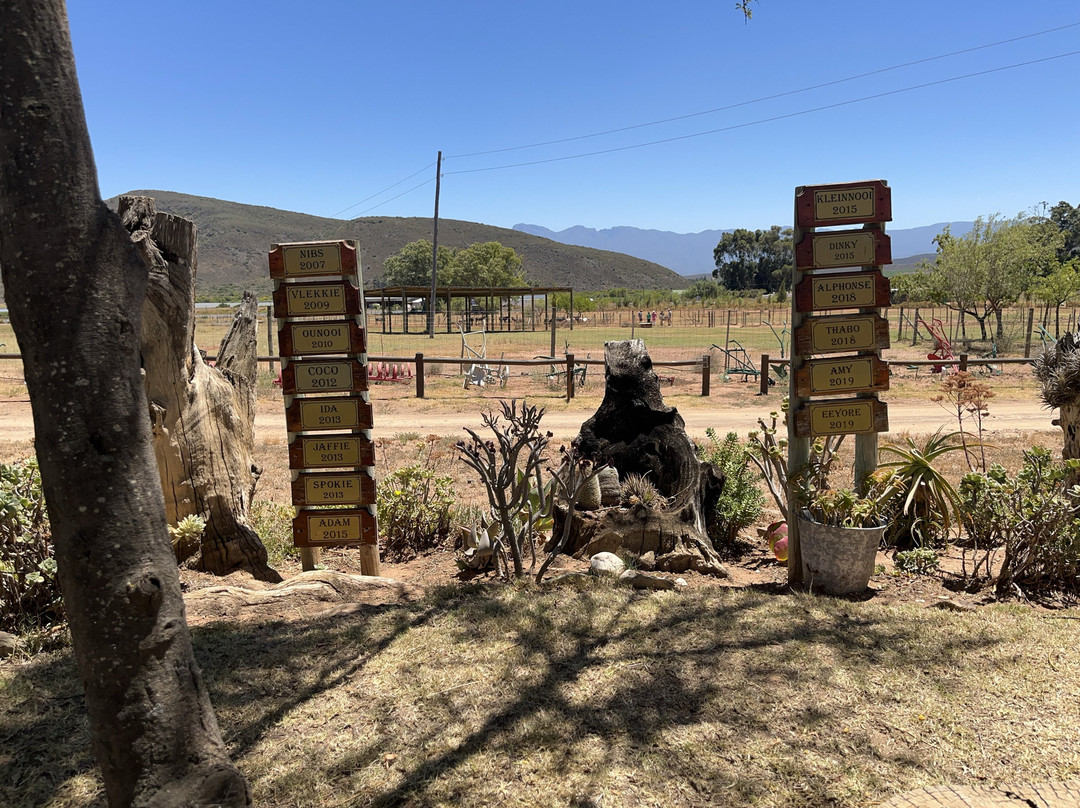 Eseltjiesrus Donkey Sanctuary-McGregor必去景点