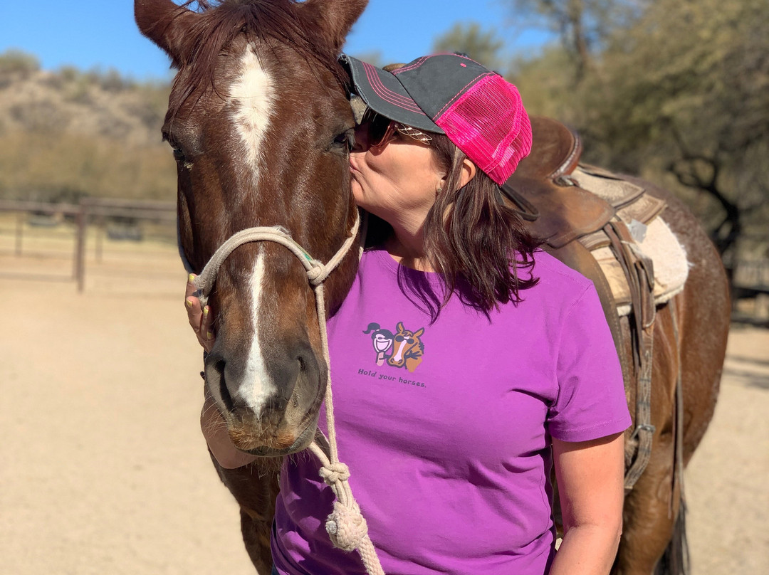 Arizona Horse Company-Wickenburg必去景点