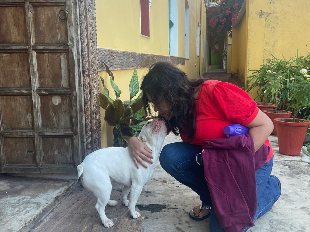 Dhenkanal Palace主图