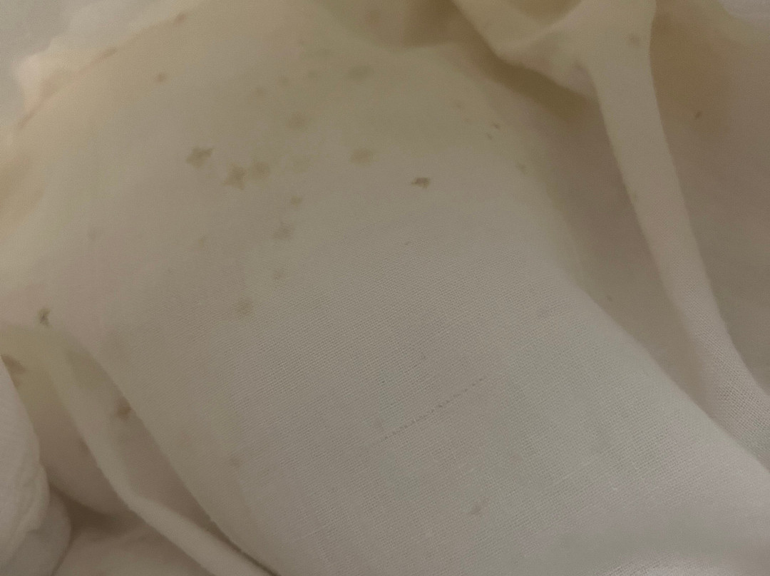 Pacific Bay Resort主图