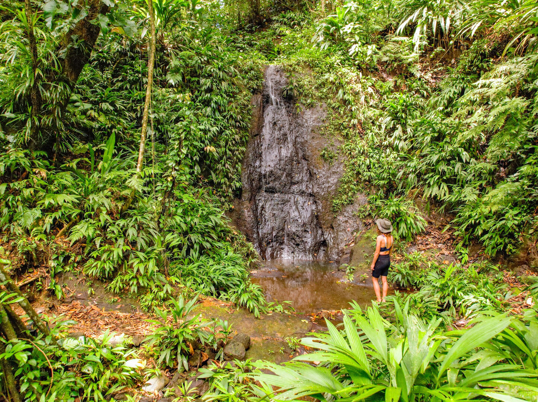 La Tierra Del Encanto