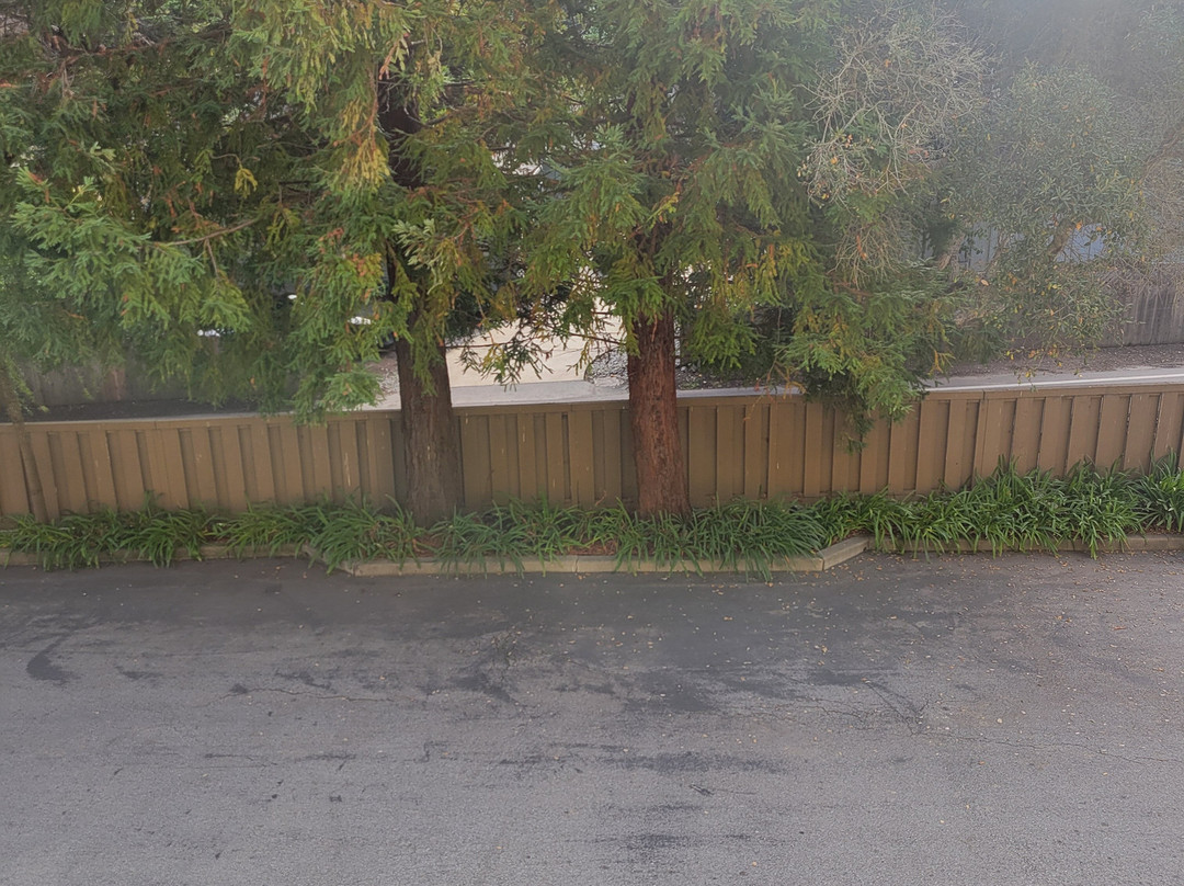 阿夫雷戈酒店主图